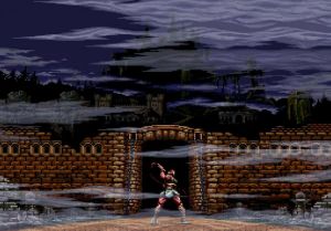 Nintendo Switch : Castlevania Anniversary Collection -USA