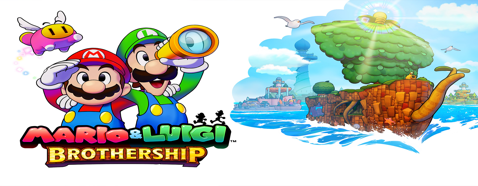 mario & luigi brothership nintendo switch